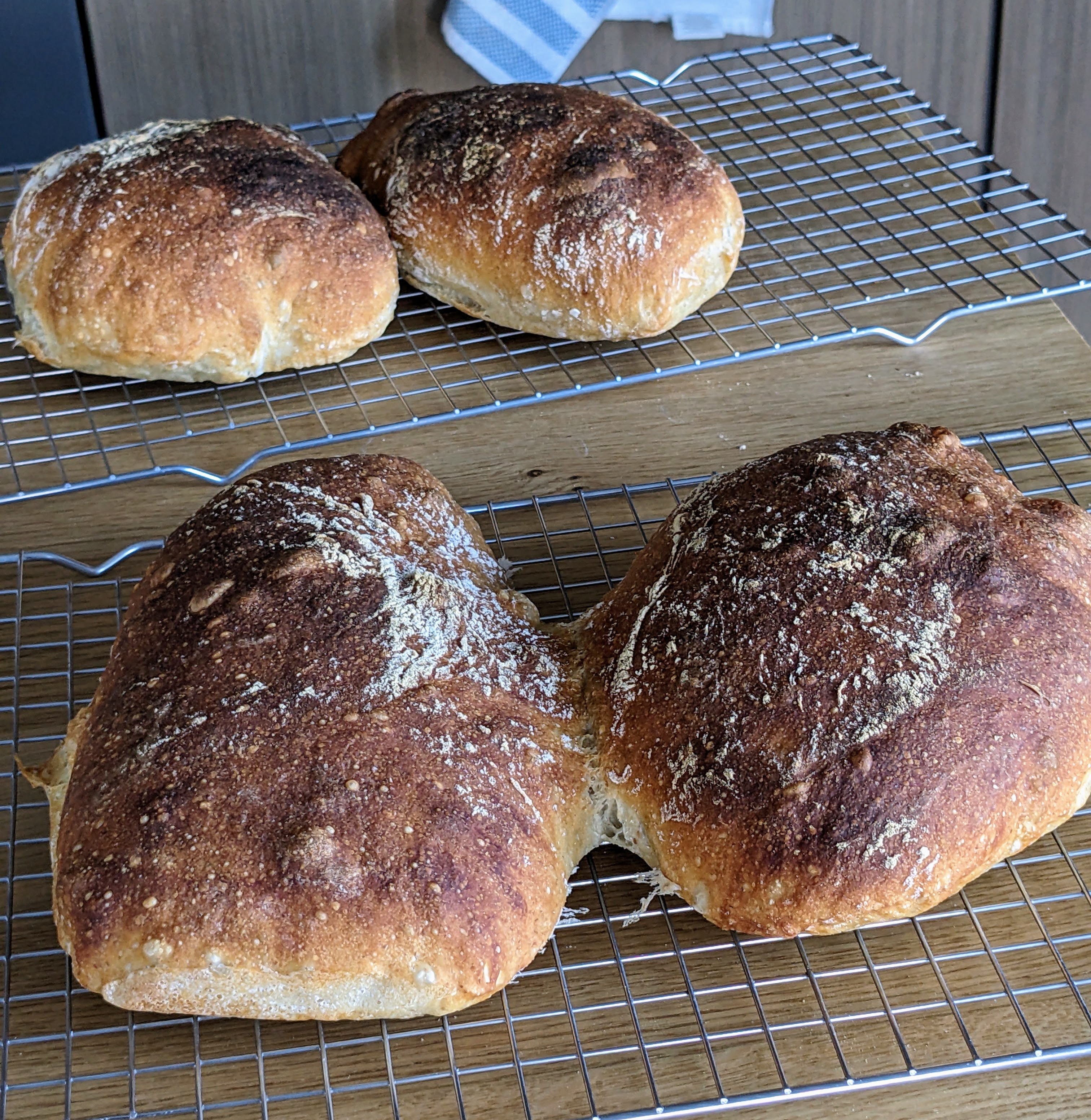 Pan de Cristal